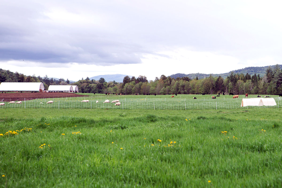 Montshire Farms